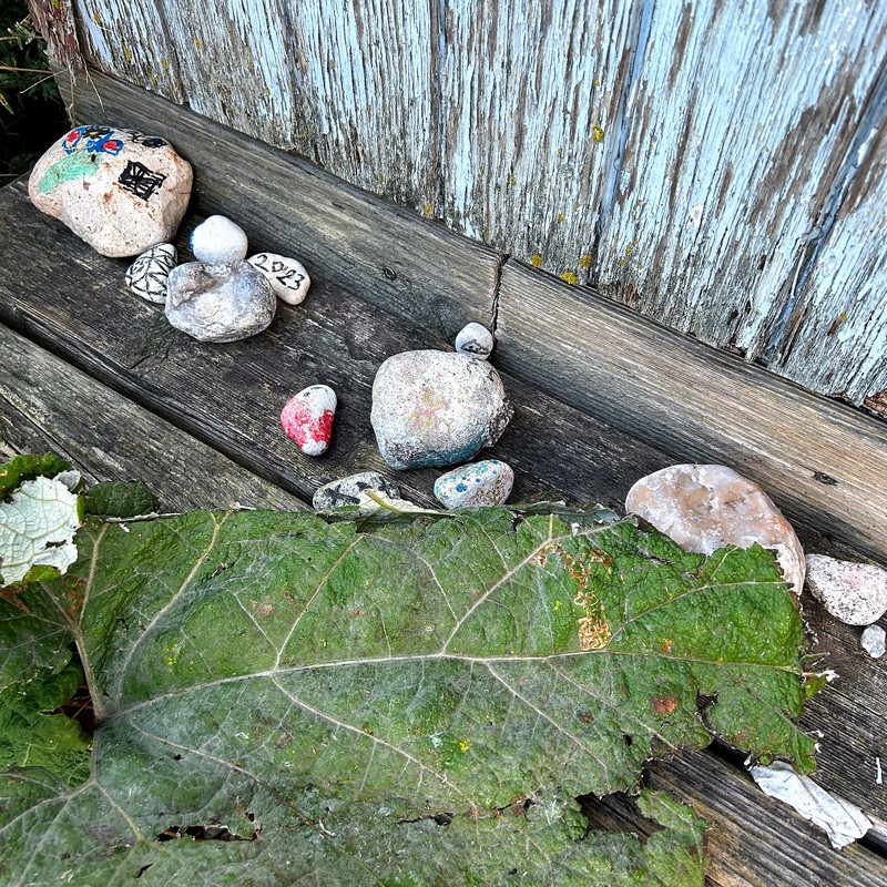 Tårs Fiskeri- og Lystbådehavn